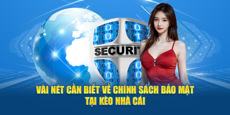 vip79-Giải quyết nhanh chóng với link truy cập nhanh!